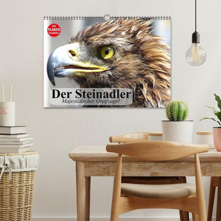 Produktbild: Der Steinadler. Majest&auml;tischer Greifvogel (Wandkalender 2026 DIN A3 quer), CALVENDO Monatskalender