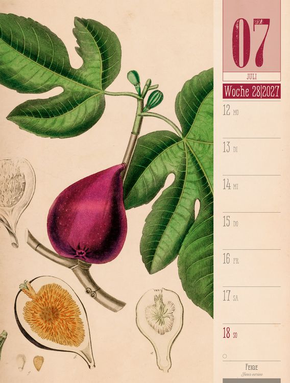 Produktbild: Culinarium Wochenplaner Kalender 2027 | K&uuml;che, Kr&auml;uter, Kurioses