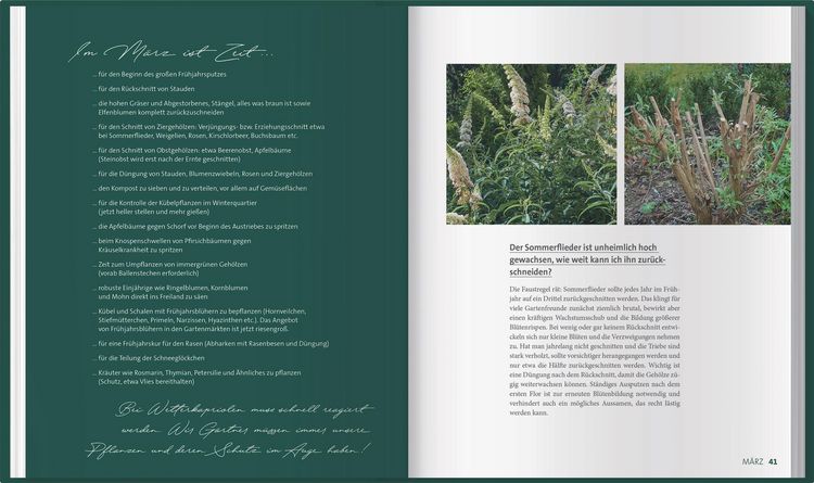 Produktbild: Mdr Garten - Das gr&uuml;ne Telefon