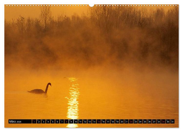 Produktbild: SCHW&Auml;NE. (hochwertiger Premium Wandkalender 2026 DIN A2 quer), Kunstdruck in Hochglanz