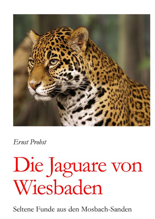 Produktbild: Die Jaguare von Wiesbaden