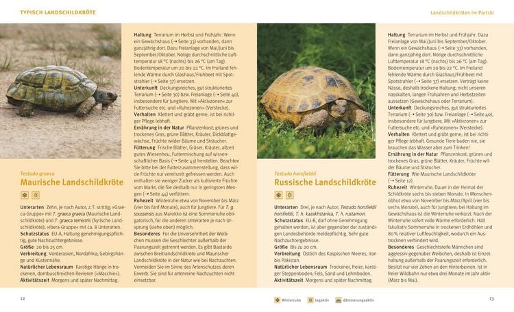 Produktbild: Landschildkr&ouml;ten