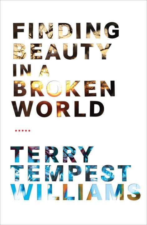 Produktbild: Finding Beauty in a Broken World