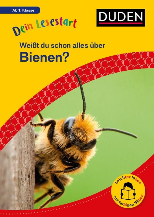 Produktbild: Dein Lesestart: Wei&szlig;t du schon alles &uuml;ber Bienen? Ab 1. Klasse