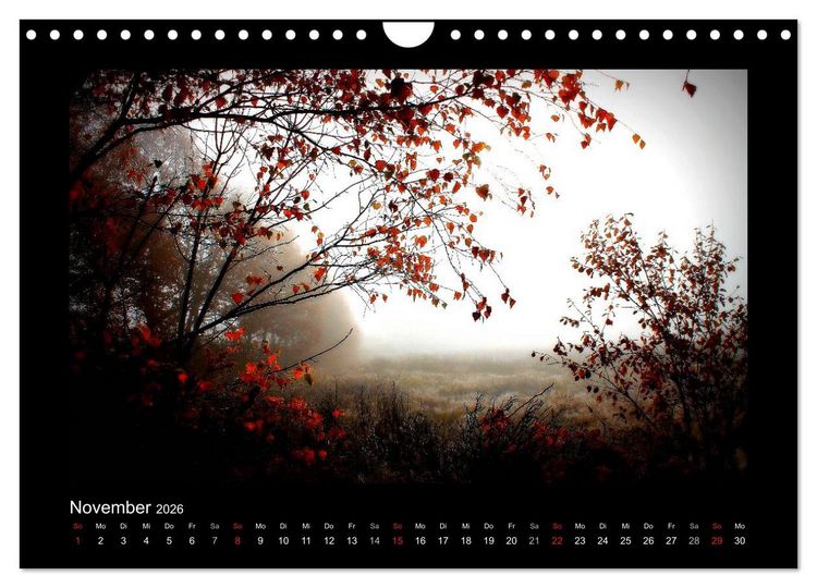 Produktbild: Landschaft Teufelsmoor / 2026 (Wandkalender 2026 DIN A4 quer), CALVENDO Monatskalender