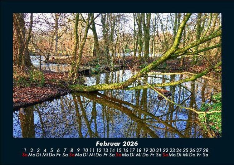 Produktbild: B&auml;ume 2026 Fotokalender DIN A5