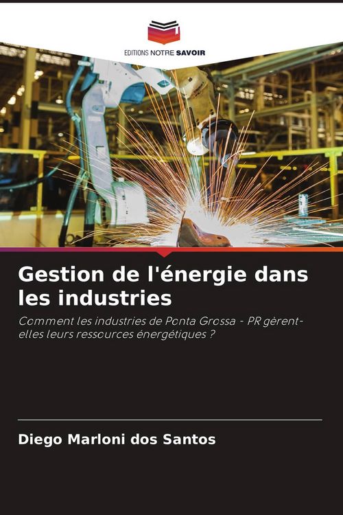 Produktbild: Gestion de l'&eacute;nergie dans les industries