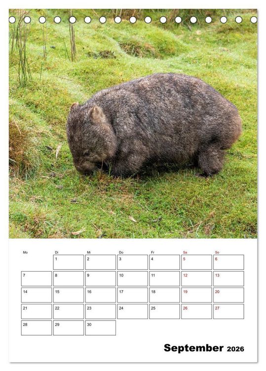 Produktbild: Australiens faszinierende Tierwelt (Tischkalender 2026 DIN A5 hoch), CALVENDO Monatskalender