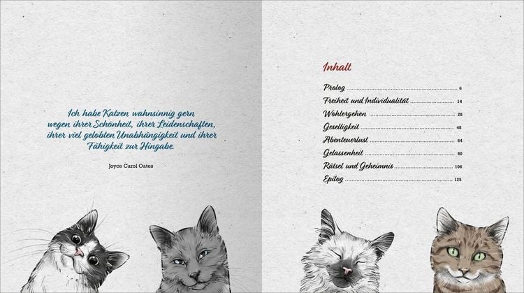 Produktbild: Kleine Katzenphilosophie