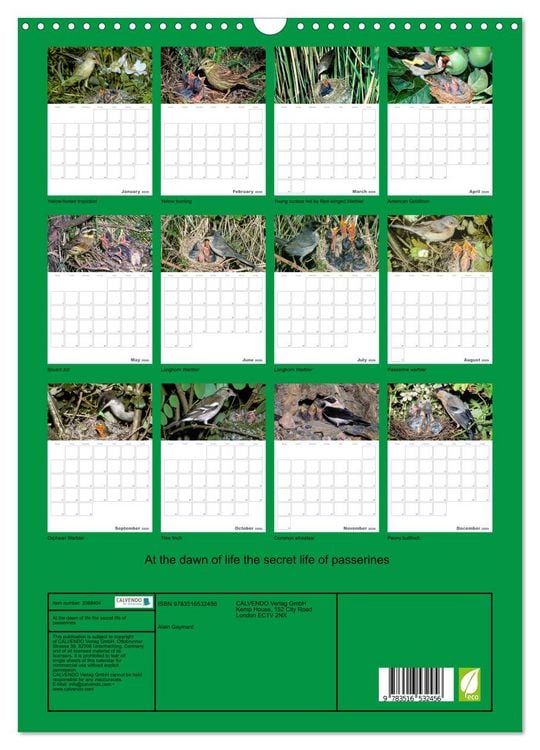 Produktbild: At the dawn of life the secret life of passerines (Wall Calendar 2026 DIN A3 portrait), CALVENDO 12 Month Wall Calendar