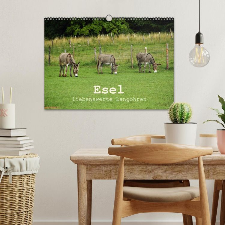 Produktbild: Esel - liebenswerte Langohren (Wandkalender 2026 DIN A3 quer), CALVENDO Monatskalender