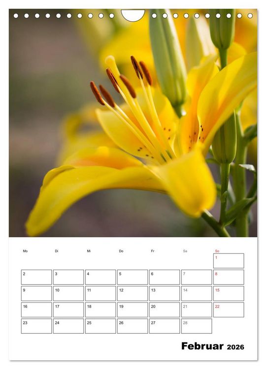 Produktbild: Farben der Natur (Wandkalender 2026 DIN A4 hoch), CALVENDO Monatskalender