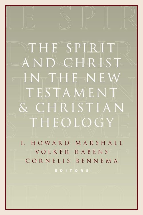 Produktbild: The Spirit and Christ in the New Testament and Christian Theology