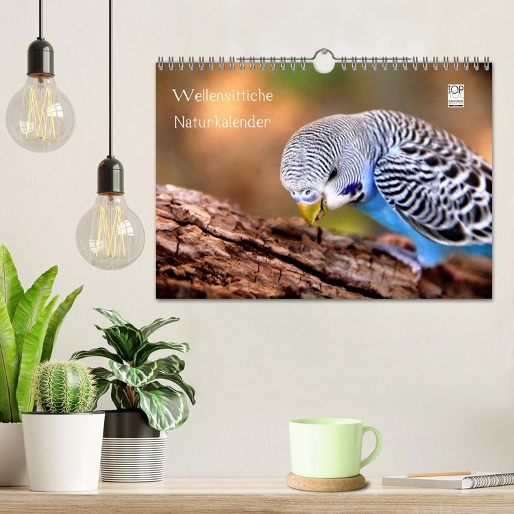 Produktbild: Wellensittiche - Naturkalender (Wandkalender 2026 DIN A4 quer), CALVENDO Monatskalender