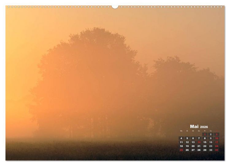 Produktbild: Die Dingdener Heide im Wandel der Jahreszeiten (Wandkalender 2026 DIN A2 quer), CALVENDO Monatskalender