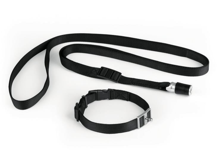 Produktbild: GoLeyGo Hundeleine & Halsband S schwarz