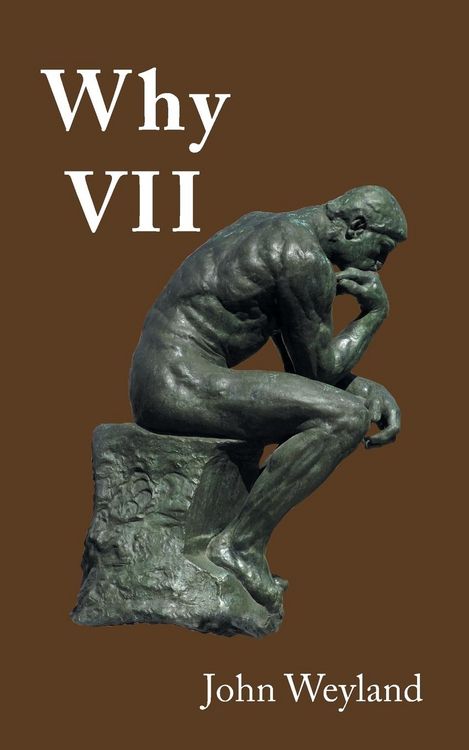 Produktbild: Why Vii