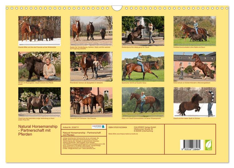 Produktbild: Natural Horsemanship - Partnerschaft mit Pferden (Wandkalender 2026 DIN A3 quer), CALVENDO Monatskalender