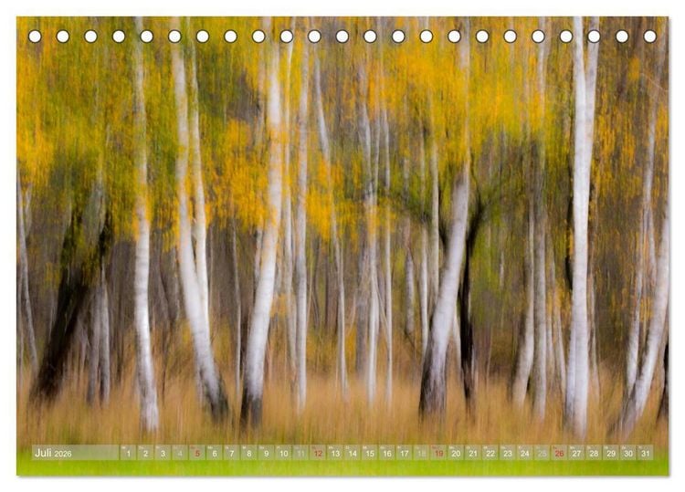 Produktbild: Atelier Wald - gemalt mit Licht (Tischkalender 2026 DIN A5 quer), CALVENDO Monatskalender