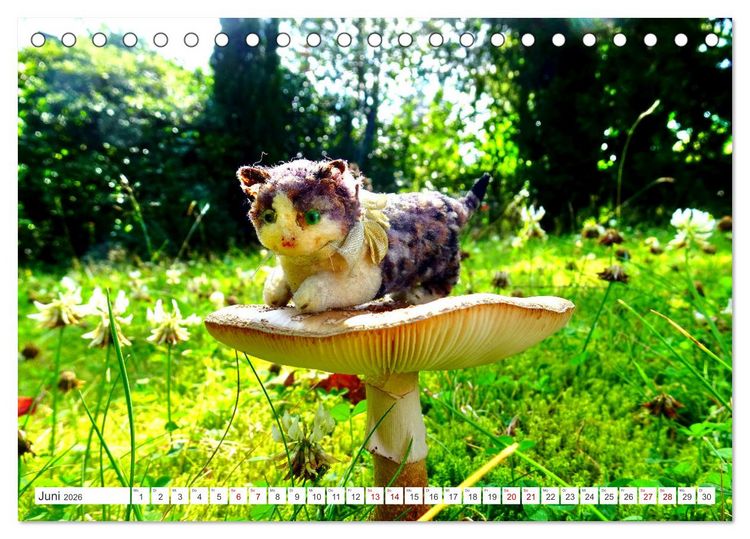 Produktbild: Pilz-Tiere (Tischkalender 2026 DIN A5 quer), CALVENDO Monatskalender