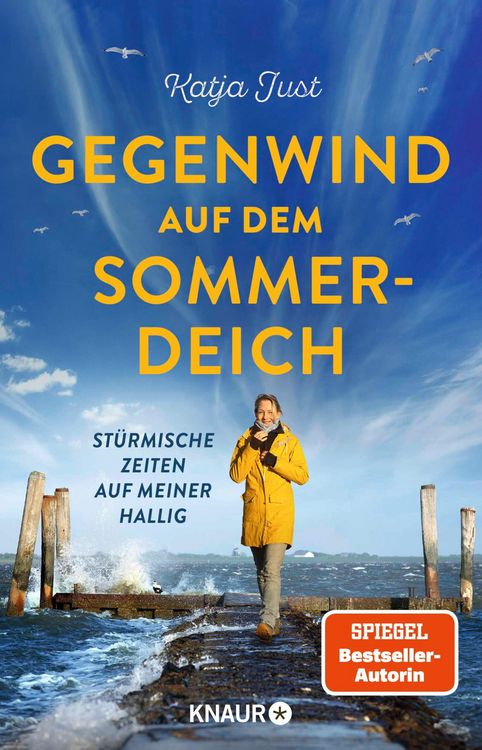 Produktbild: Gegenwind auf dem Sommerdeich