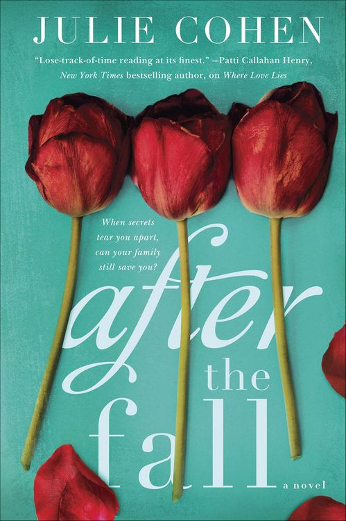 Produktbild: After the Fall