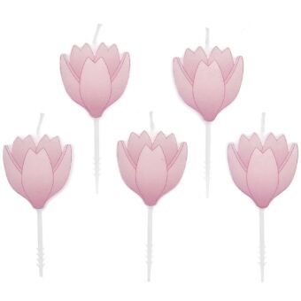 Produktbild: Kerzen Kirschbl&uuml;te, 5 Stk