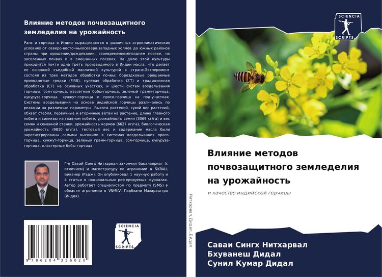 Produktbild: Vliqnie metodow pochwozaschitnogo zemledeliq na urozhajnost'