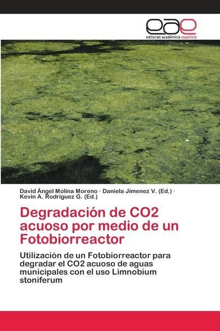 Produktbild: Molina Moreno, D: Degradaci&oacute;n de CO2 acuoso por medio de un