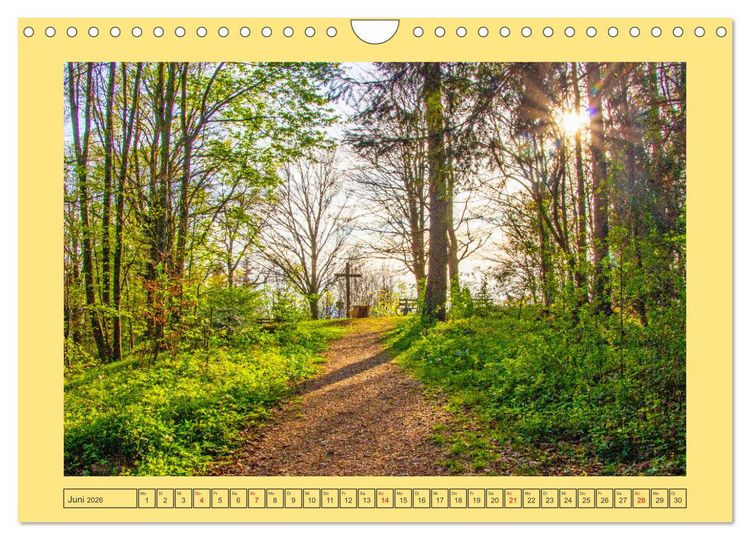 Produktbild: Sch&ouml;ne Gr&uuml;&szlig;e aus Mattsee (Wandkalender 2026 DIN A4 quer), CALVENDO Monatskalender