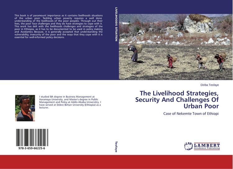 Produktbild: The Livelihood Strategies, Security And Challenges Of Urban Poor