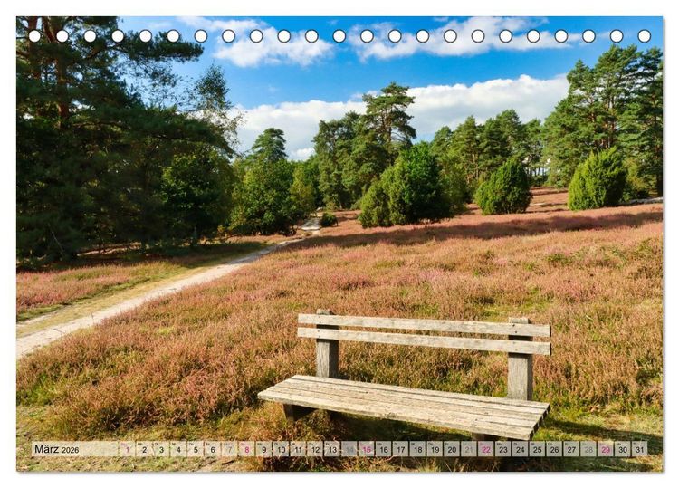 Produktbild: L&uuml;neburger S&uuml;dheide (Tischkalender 2026 DIN A5 quer), CALVENDO Monatskalender