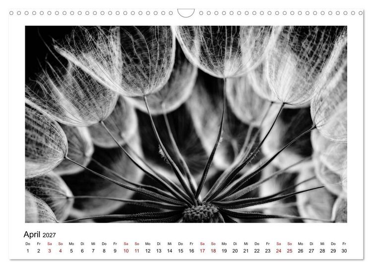 Produktbild: Die grafische Sch&ouml;nheit der Pflanzen &ndash; Schwarz-Wei&szlig; (Wandkalender 2027 DIN A3 quer), CALVENDO Monatskalender