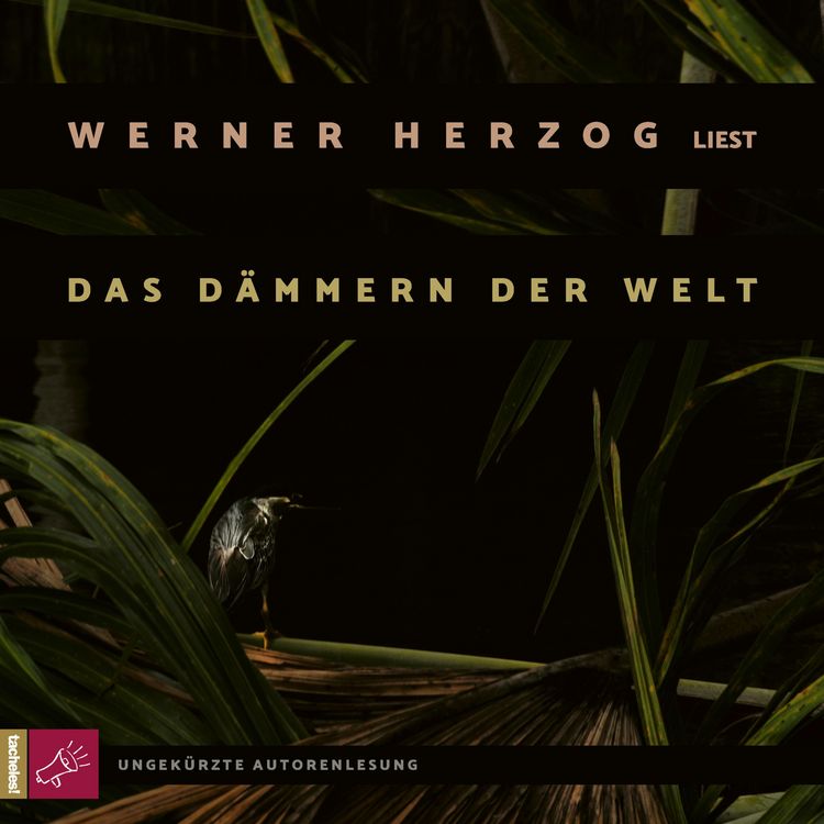 Produktbild: Das D&auml;mmern der Welt