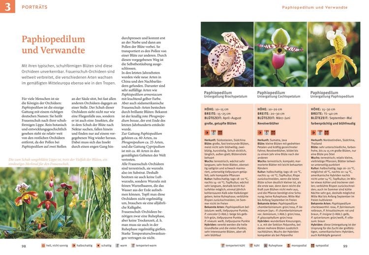 Produktbild: Orchideen pflegen