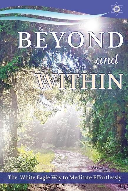 Produktbild: Beyond and within