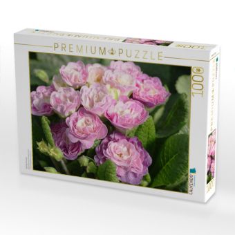 Produktbild: CALVENDO Puzzle Gef&uuml;llte Primeln | 1000 Teile Lege-Gr&ouml;&szlig;e 64x48cm Foto-Puzzle f&uuml;r gl&uuml;ckliche Stunden