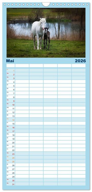 Produktbild: Familienplaner 2026 - Wei&szlig;e Pferde der Camargue in Bayern mit 5 Spalten (Wandkalender, 21 x 45 cm) CALVENDO