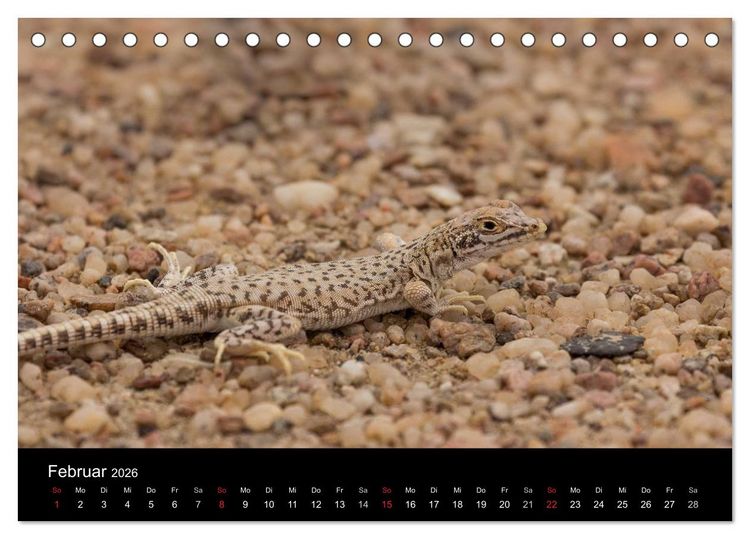 Produktbild: Wundersch&ouml;nes Namibia (Tischkalender 2026 DIN A5 quer), CALVENDO Monatskalender
