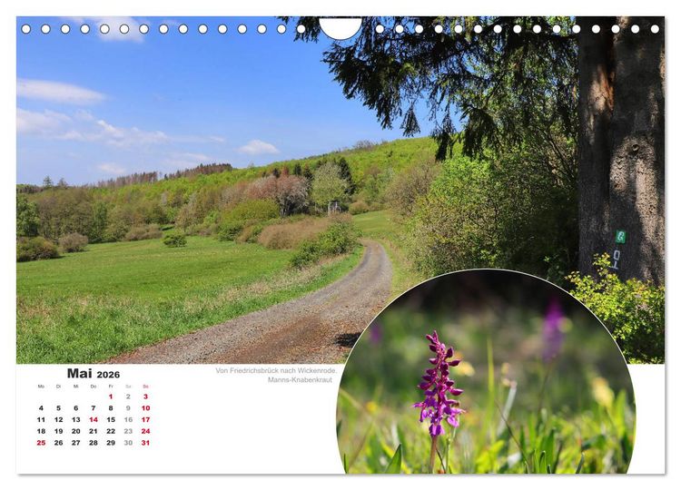 Produktbild: Der Grimmsteig (Wandkalender 2026 DIN A4 quer), CALVENDO Monatskalender
