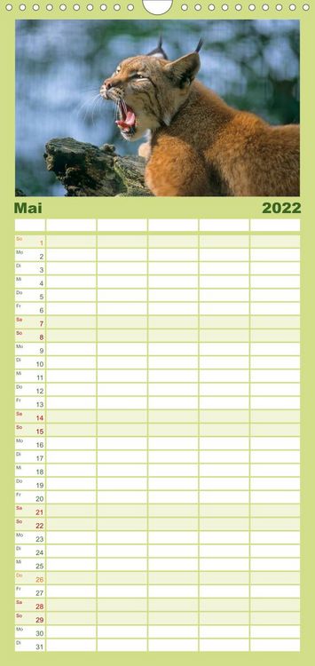 Produktbild: Familienplaner Tiere des Waldes (Wandkalender 2022 , 21 cm x 45 cm, hoch)