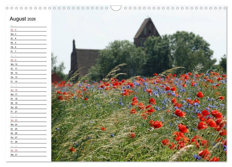 Produktbild: Vier Jahreszeiten im Land Brandenburg (Wandkalender 2026 DIN A3 quer), CALVENDO Monatskalender