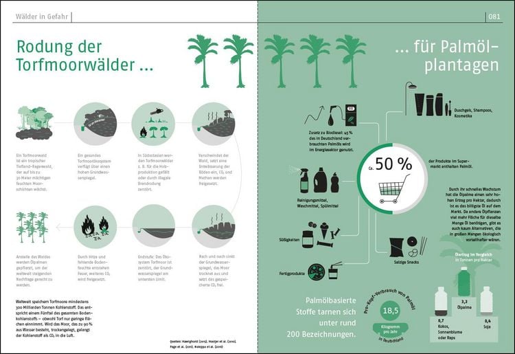 Produktbild: Das Waldbuch