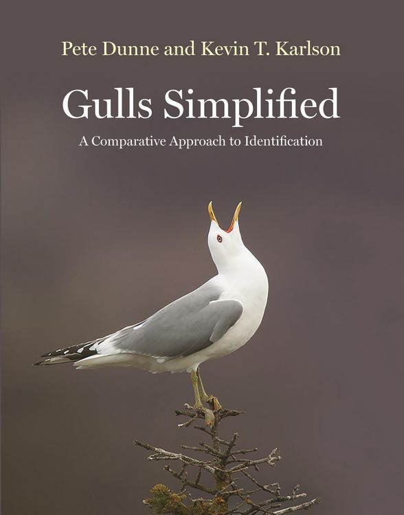 Produktbild: Gulls Simplified