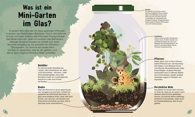 Produktbild: Mein Mini-Garten im Glas