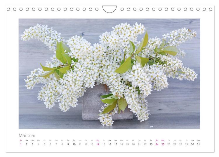 Produktbild: Blumen zart und sch&ouml;n (Wandkalender 2026 DIN A4 quer), CALVENDO Monatskalender