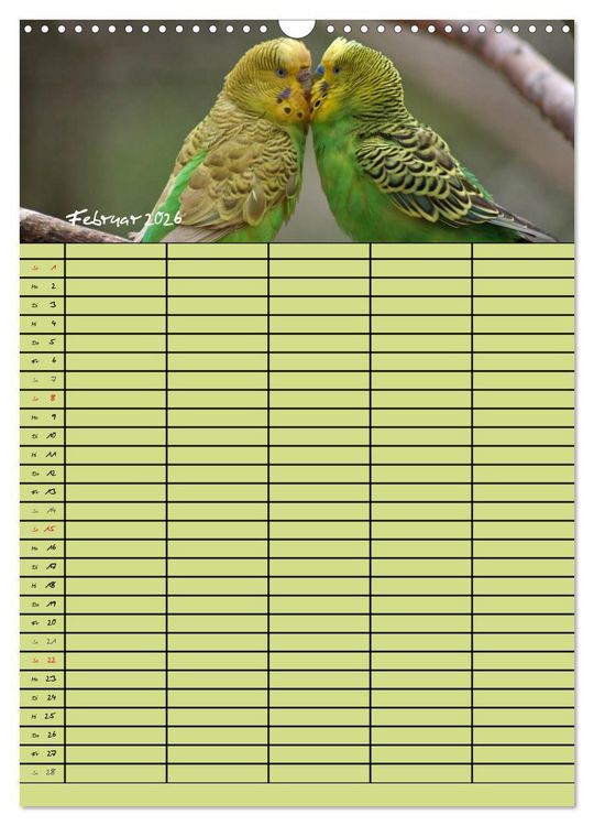 Produktbild: Der Wellensittich-Familienplaner (Wandkalender 2026 DIN A3 hoch), CALVENDO Monatskalender