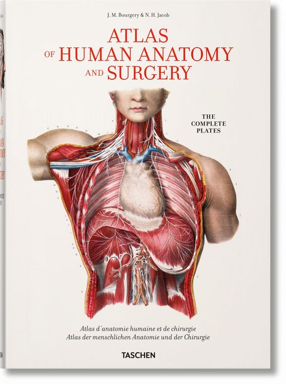 Produktbild: Bourgery