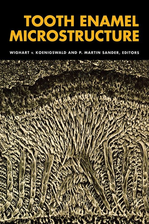 Produktbild: Tooth Enamel Microstructure