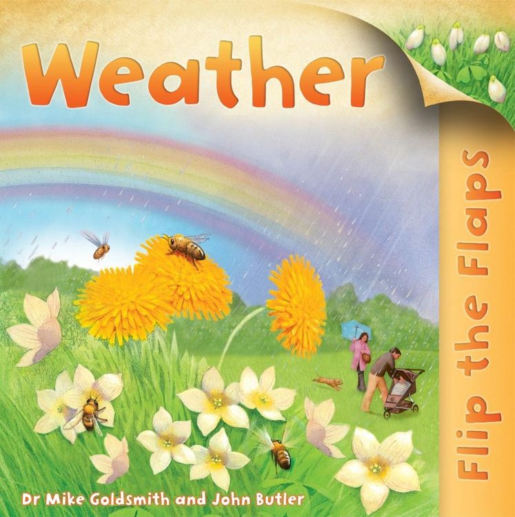 Produktbild: Goldsmith, M: Flip the Flaps: Weather